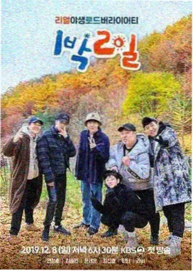 匠人请回答 纪实综艺在线观看